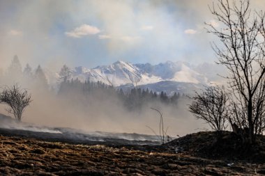 Bialy Dunajec, Polonya - 23.3.2019 Bialy Dunajec, Polonya'da 23.3.2019'da büyük bir ot ve çalı yangını