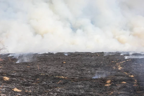 比亚利杜纳耶茨 2019 在波兰比亚利杜纳耶茨23 2019的草和灌木丛大火 — 图库照片