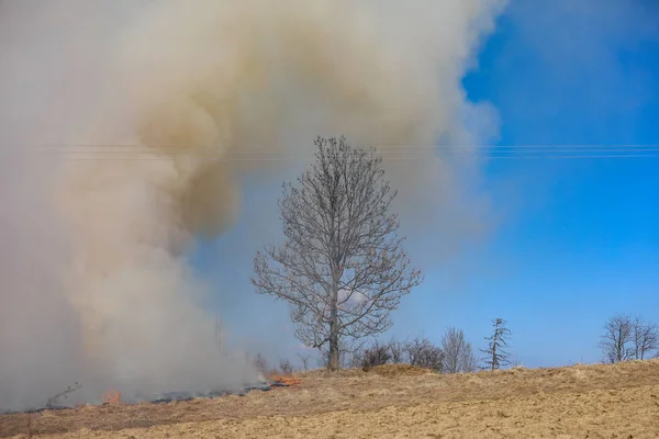 比亚利杜纳耶茨 2019 在波兰比亚利杜纳耶茨23 2019的草和灌木丛大火 — 图库照片