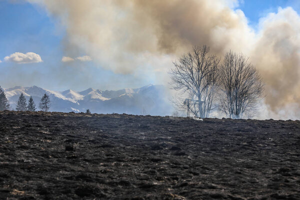 Bialy Dunajec, Poland - 23.3.2019 A huge fire of grass and bushes in 23.3.2019 in Bialy Dunajec, Poland