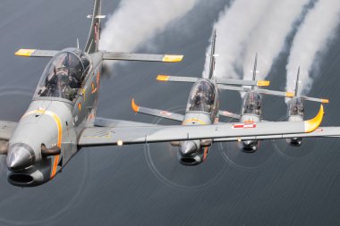 Gdynia, Polonya - Polonya Hava Kuvvetleri 'nden 16.08.2019 PZL Orlik Baltık Denizi üzerinde 16.08.2019, Polonya