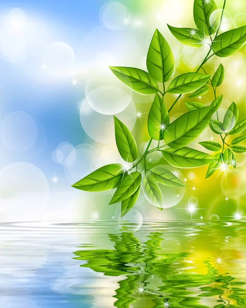 Folhas Verdes Refletindo Água Close —  Vetores de Stock