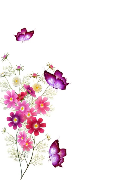 Květiny Motýli Izolované Bílé Pozadí — Stockový vektor