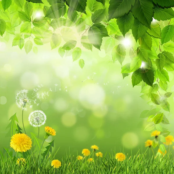 Цветочный Весенний Пейзаж Луг Цветами — стоковый вектор
