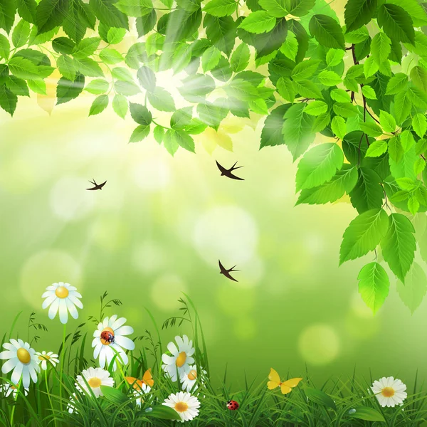Spring Background Flowers Swallows — Stock Photo, Image