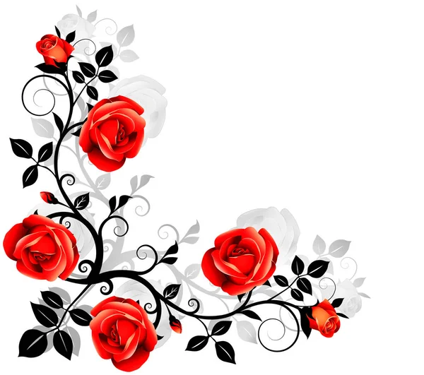 Φλοράλ Λευκό Φόντο Κόκκινα Τριαντάφυλλα — Φωτογραφία Αρχείου