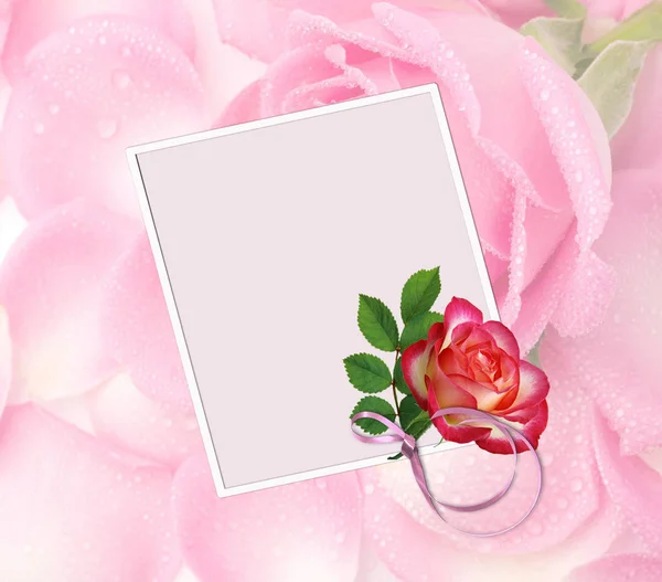 Wenskaart Met Roze Rozen — Stockfoto