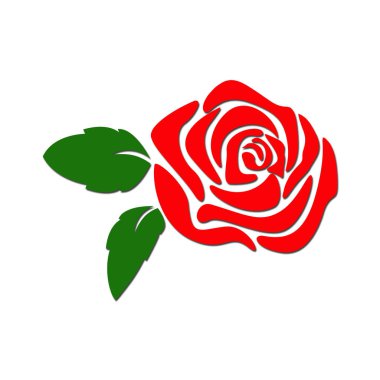 Beyaz arkaplanda kırmızı gül