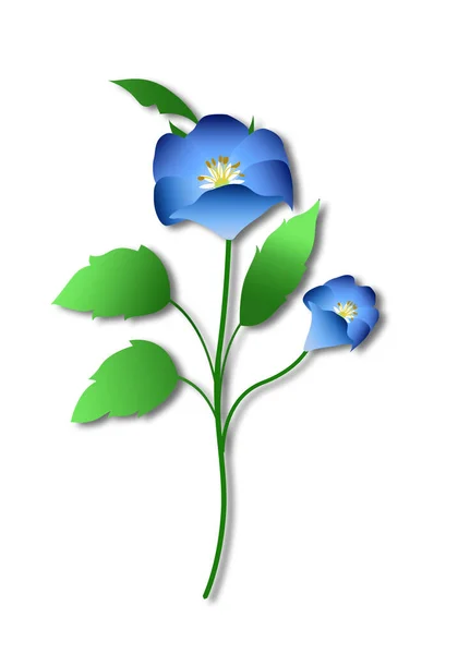 Dibujo Flor Azul Sobre Fondo Blanco — Foto de Stock