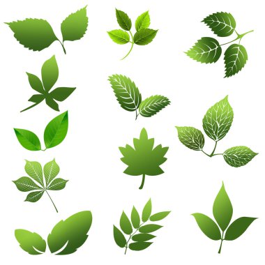 Yeşil yaprak simgeleri beyaz arkaplan belirledi.