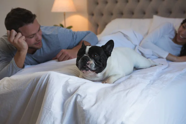 Casal Brincando Com Seu Cão Estimação Quarto Casa — Fotografia de Stock