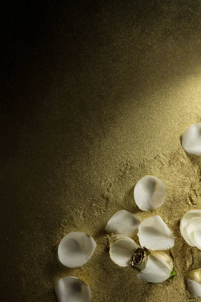 Overhead White Rose Petals Gold Dust Background — Stock Photo, Image