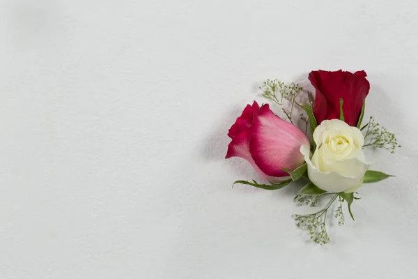 Overhead Rose Flowers Arranged White Background — Stock Photo, Image