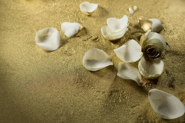 Close White Rose Petals Gold Dust Background — Stock Photo, Image