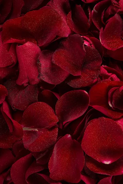 Close Full Frame Red Rose Petals — Stock Photo, Image