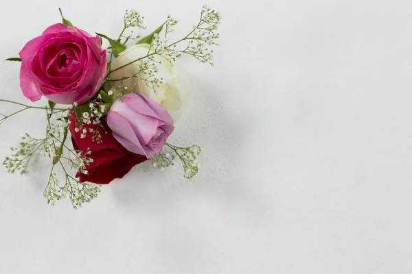 Zbliżenie Kwiatów Róży Ułożone Białym Tle — Zdjęcie stockowe