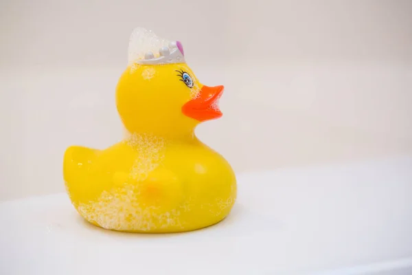 Close Rubber Duck Bathroom Home — Stock Photo, Image