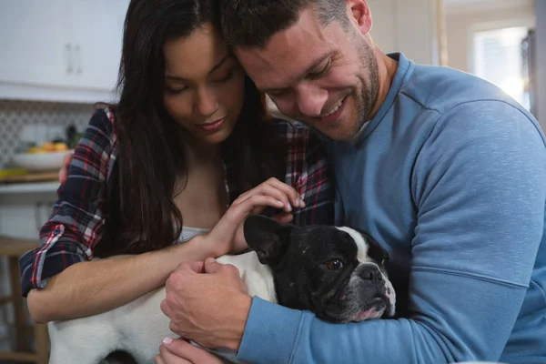 Pareja Jugando Con Perro Mascota Cocina Casa —  Fotos de Stock