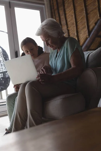 Evde Dizüstü Bilgisayar Kullanan Bir Büyükanne Torunun Yan Görüntüsü — Stok fotoğraf
