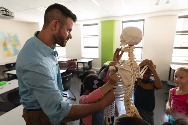 Vista Lateral Del Profesor Masculino Explicando Modelo Esqueleto Aula Escuela —  Fotos de Stock