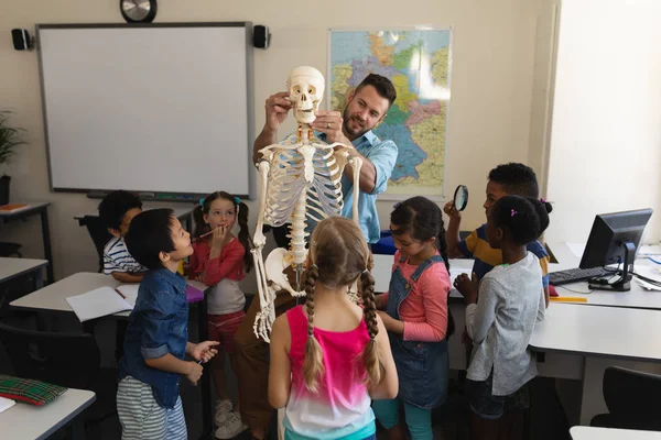 Profesor Masculino Explicando Modelo Esqueleto Aula Escuela Primaria —  Fotos de Stock