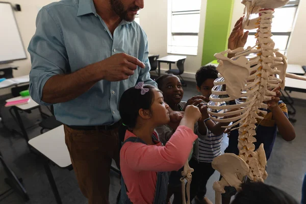 Visão Lateral Professor Masculino Explicando Modelo Esqueleto Sala Aula Ensino — Fotografia de Stock
