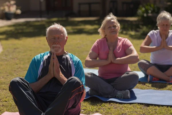 Vista Frontal Personas Mayores Activas Realizando Yoga Estera Yoga Parque —  Fotos de Stock