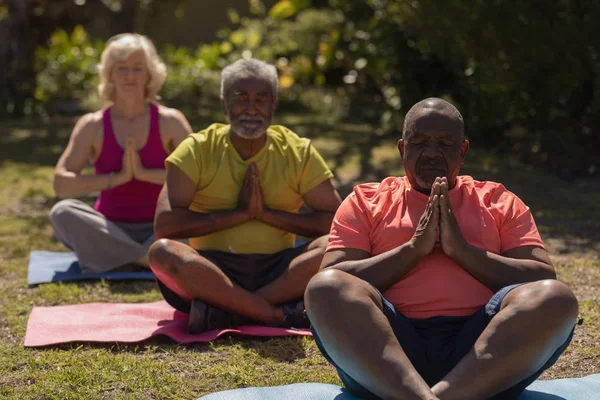 Vista Frontal Personas Mayores Activas Realizando Yoga Estera Yoga Parque — Foto de Stock