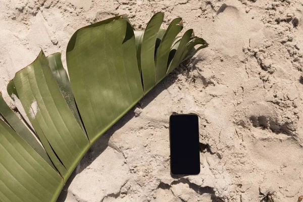 阳光下沙滩上香蕉叶和手机的高角度景观 — 图库照片