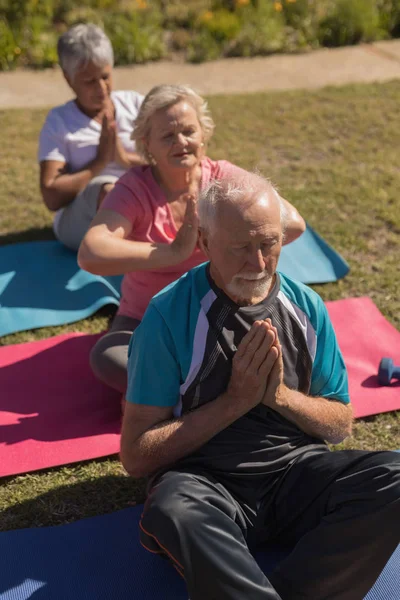 Vue Angle Élevé Groupe Personnes Âgées Actives Effectuant Yoga Sur — Photo