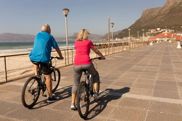 Visão Traseira Casal Sênior Andando Bicicleta Passeio Praia — Fotografia de Stock