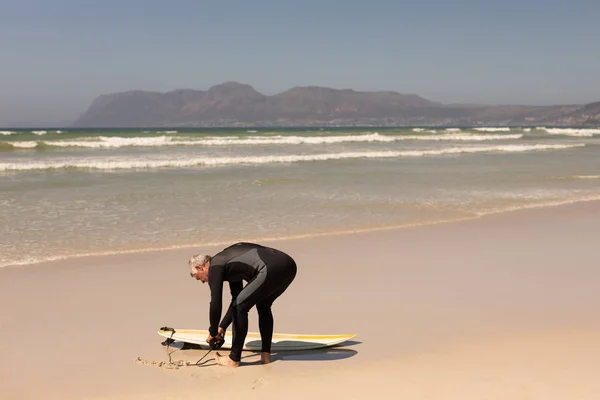 Achteraanzicht Van Een Actieve Senior Mannelijke Surfer Koppelverkoop Riem Van — Stockfoto