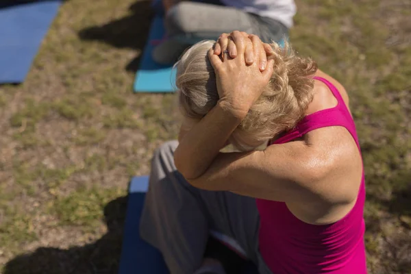 Hoge Hoekmening Van Actieve Senior Vrouw Uitvoeren Van Yoga Positie — Stockfoto