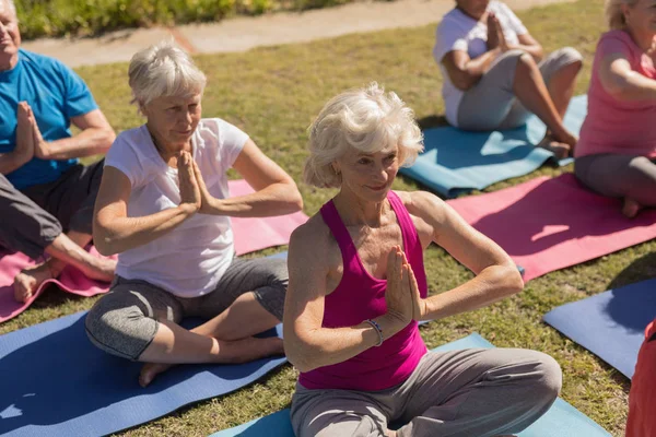 Vue Angle Élevé Groupe Personnes Âgées Actives Motivées Effectuant Yoga — Photo