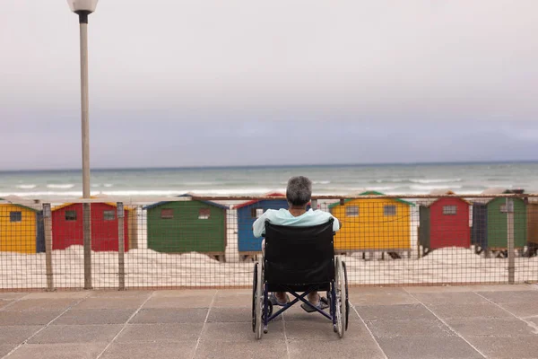 Widok Tyłu Niepełnosprawny Starszy Mężczyzna Siedzi Wózku Inwalidzkim Promenadzie Promieniach — Zdjęcie stockowe