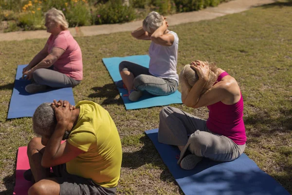 Vue Latérale Personnes Âgées Actives Effectuant Yoga Sur Tapis Yoga — Photo