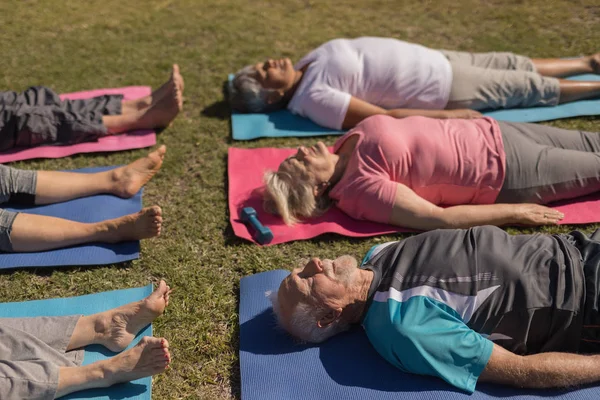 Cómo Ángulo Visión Grupo Personas Mayores Activas Realizando Posicionamiento Yoga — Foto de Stock