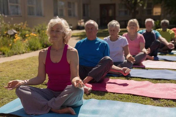 Vue Face Groupe Personnes Âgées Actives Effectuant Yoga Dans Parc — Photo