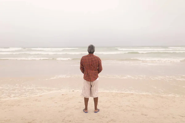 Rear View Senior Man Standing Beach Cloudy Day — Stock Photo, Image