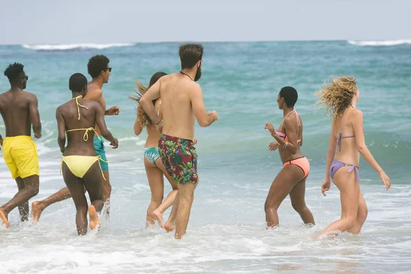 Вид Ззаду Багатонаціональну Групу Друзів Насолоджуючись Розважаючись Воді Пляжі Сонячний — стокове фото