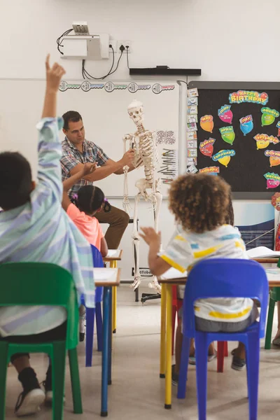 学校での教室での人間の骨格について説明している教師のフロント — ストック写真