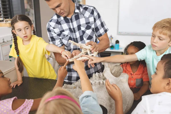 Visão Frontal Professor Segurando Crânio Animal Enquanto Crianças Escola Tocando — Fotografia de Stock