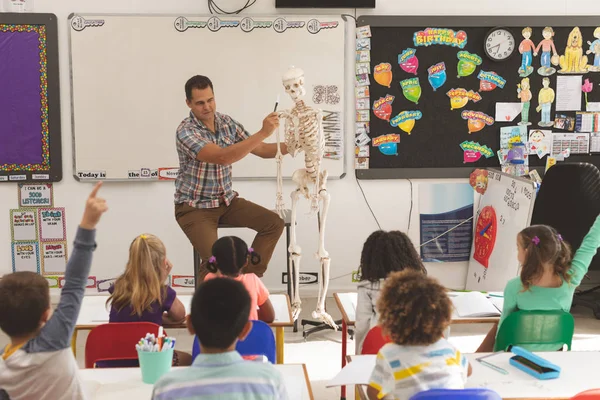 Visão Frontal Professor Explicando Sobre Esqueleto Humano Sala Aula Escola — Fotografia de Stock