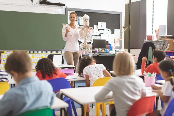 Frontansicht Eines Lehrers Der Schulkindern Den Menschlichen Körper Anhand Eines — Stockfoto