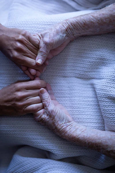 Vista Alto Angolo Paziente Femminile Che Tiene Mani Del Chirurgo — Foto Stock