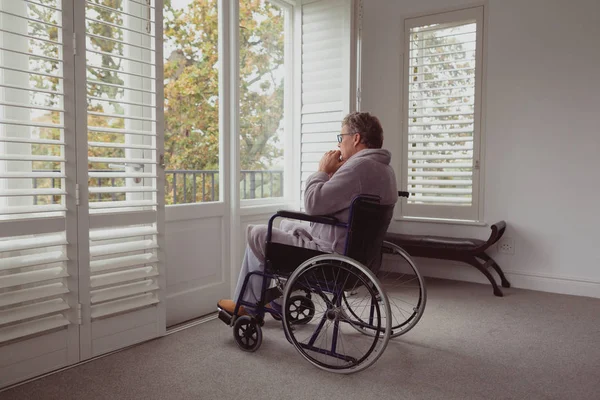 坐在轮椅上 坐在舒适的房子里透过窗户看去的老弱妇孺的侧影 — 图库照片