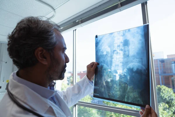 Seitenansicht Eines Reiferen Mischlingshundearztes Beim Betrachten Eines Röntgenberichts Einer Klinik — Stockfoto