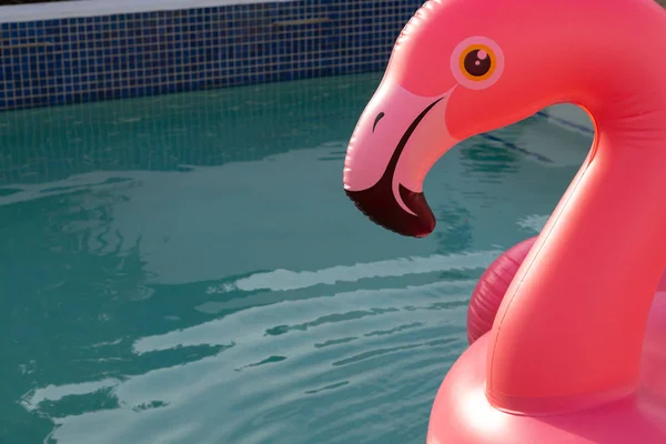 Close Pink Flamingo Bird Shape Inflatable Tube Floating Swimming Pool — 图库照片