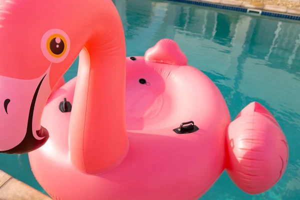 Nahaufnahme Von Rosa Flamingo Vogel Form Aufblasbaren Schlauch Schwimmt Einem — Stockfoto