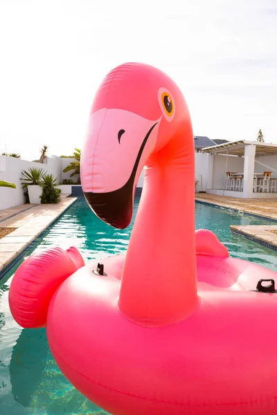 Close Pink Flamingo Bird Shape Inflatable Tube Floating Swimming Pool — Stockfoto